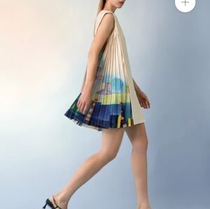Side Printed Pleated Shift Dress